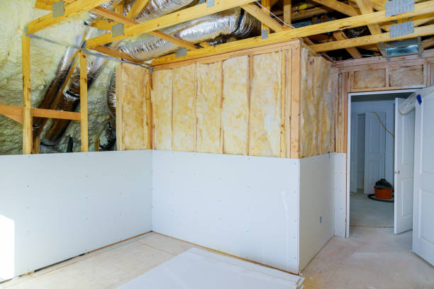 Best Insulation Maintenance and Repair in Hopkinsville, KY
